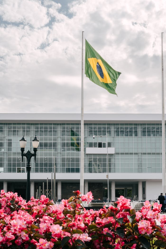 Contemporary architecture in Curitiba featuring Brazilian flag and vibrant flowers.